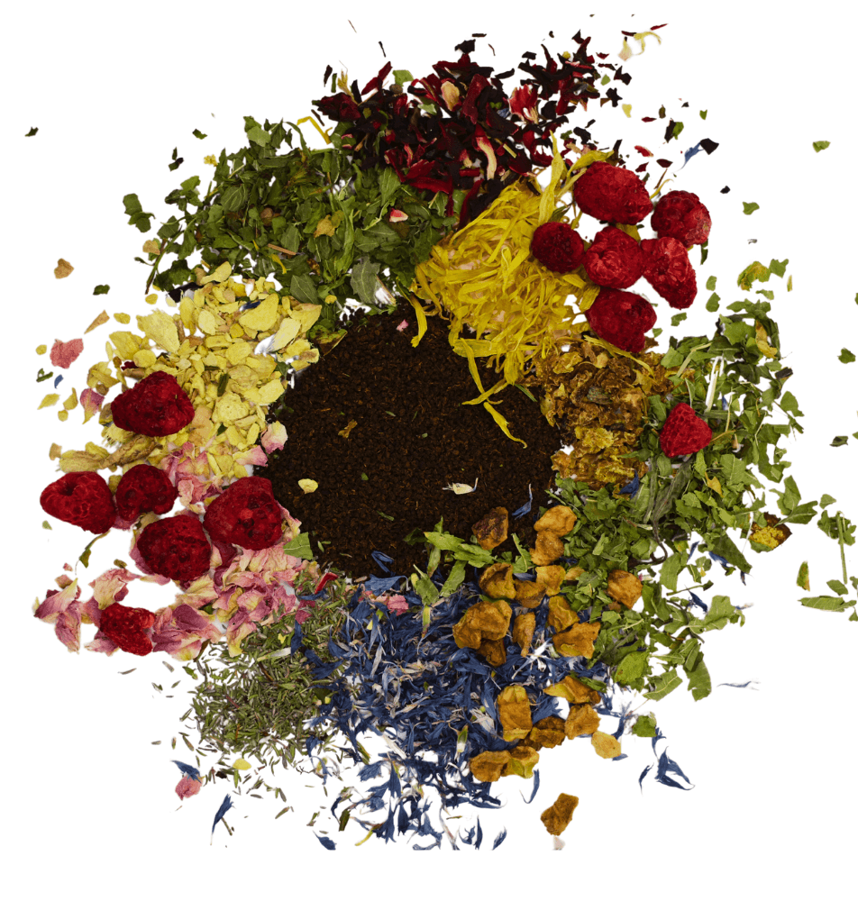 Thé Noir du Mozambique - My Own Tea