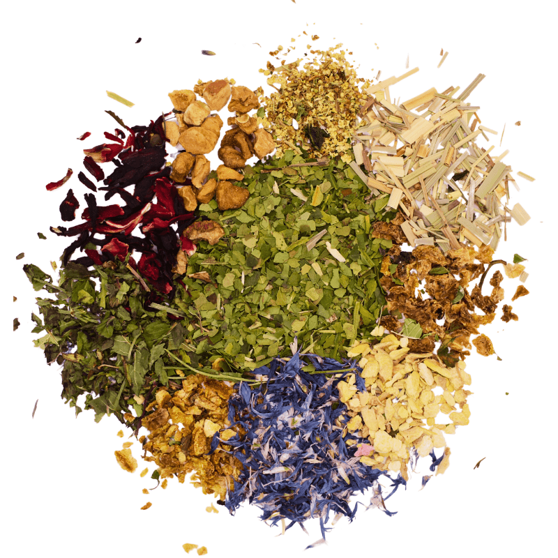 Maté du Brésil - My Own Tea