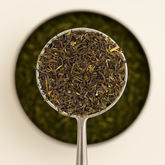 Thé Vert Fleurs de Jasmin