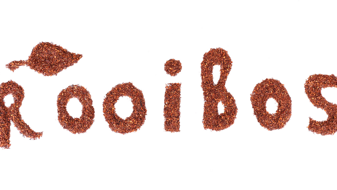 Feuilles de rooibos séchées, riches en antioxydants et parfaites pour une infusion apaisante
