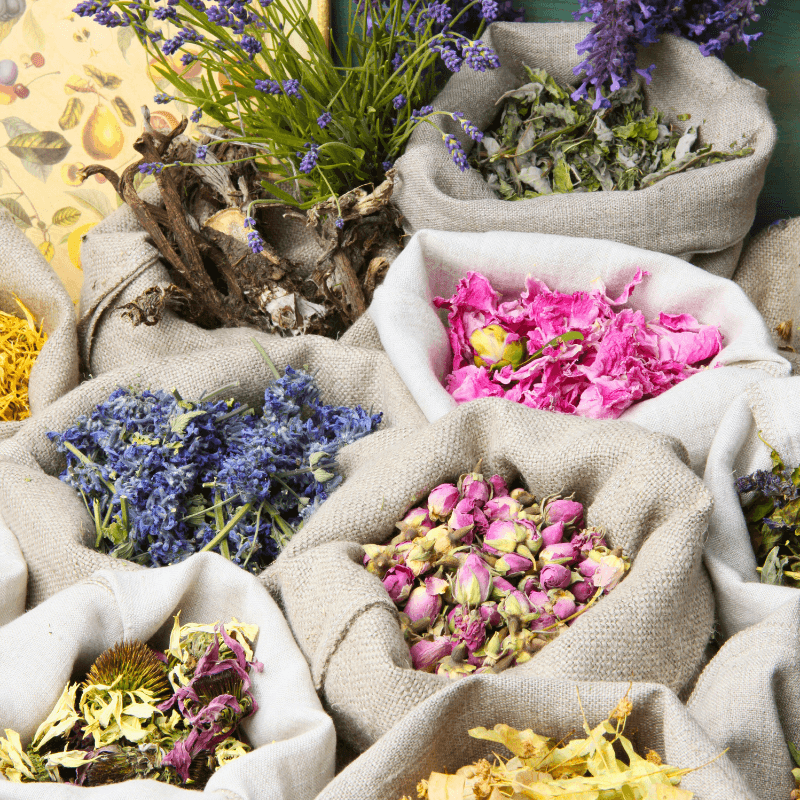 Les Thés à Base de Fleurs : Douceur et Santé dans Votre Tasse - My Own Tea