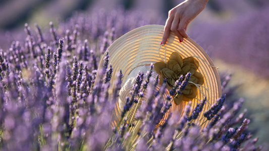 Tasse de thé aux parfums de Provence avec lavande, pêche et romarin sur fond ensoleillé