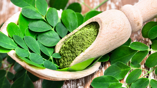 Feuilles de moringa et infusion naturelle pour un boost d’énergie et de bien-être.