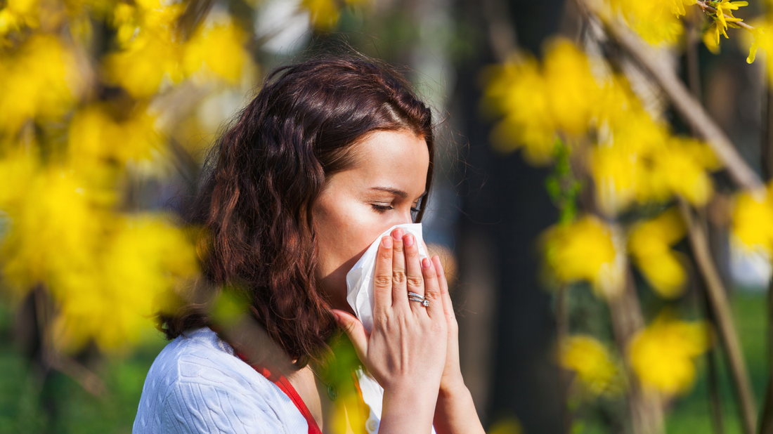 🌼 Allergies saisonnières : ces plantes qui soulagent naturellement