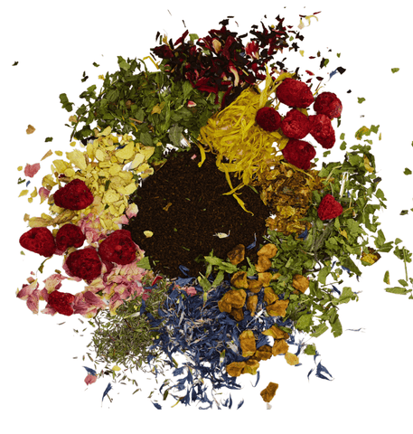 Thé Noir du Mozambique - My Own Tea